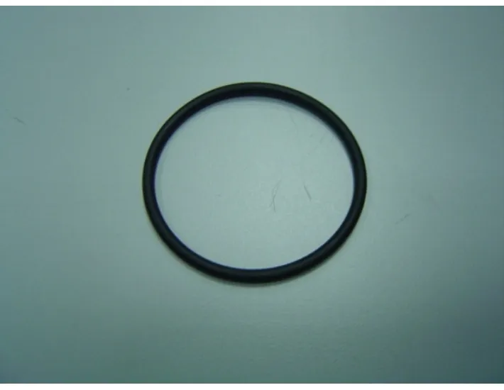 O-Ring 63X4 Gegenstromschwimmer AstralPool...