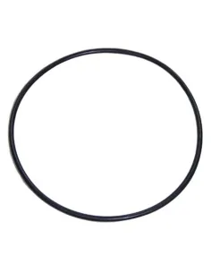 O-ring 124x3,5 Maxim pompa AstralPool 4405010377