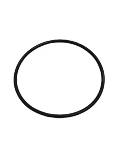 O-ring 100x4 Maxim pompa AstralPool 4405010376