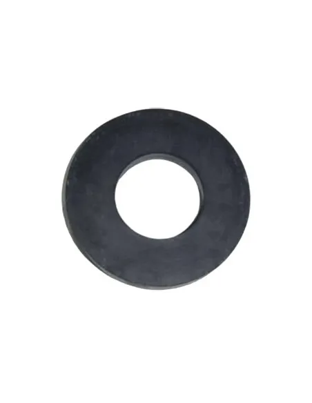 AstralPool Maxim rondella deflettore pompa 4405010374