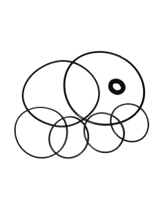 Kit guarnizione pompa Maxim AstralPool 4405010303