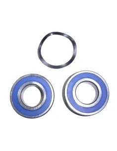 Cuscinetto del motore della pompa AstralPool Maxim 4,5 -...