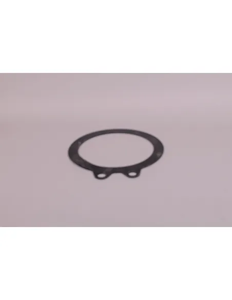 Flanschdichtung Zelle D-250/600EX/+ AstralPool
