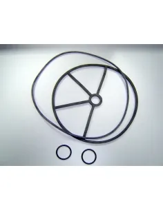 AstralPool 3" klepafdichtingen 4404122004