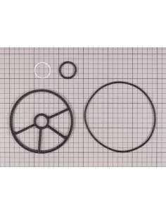 Astralpool Vervangen van 1 ½" Selectieklepafdichtingen...