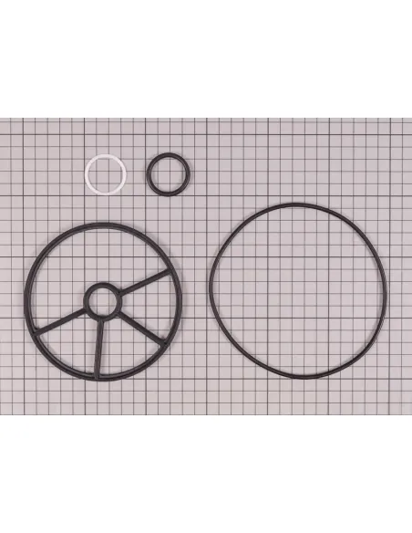 Astralpool Vervangen van 1 ½" Selectieklepafdichtingen 4404120096