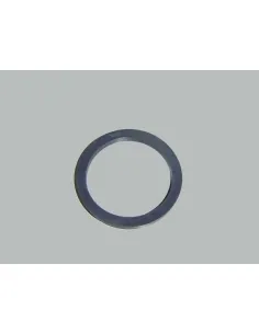 AstralPool Columbia Pomp O-Ring 4405010605