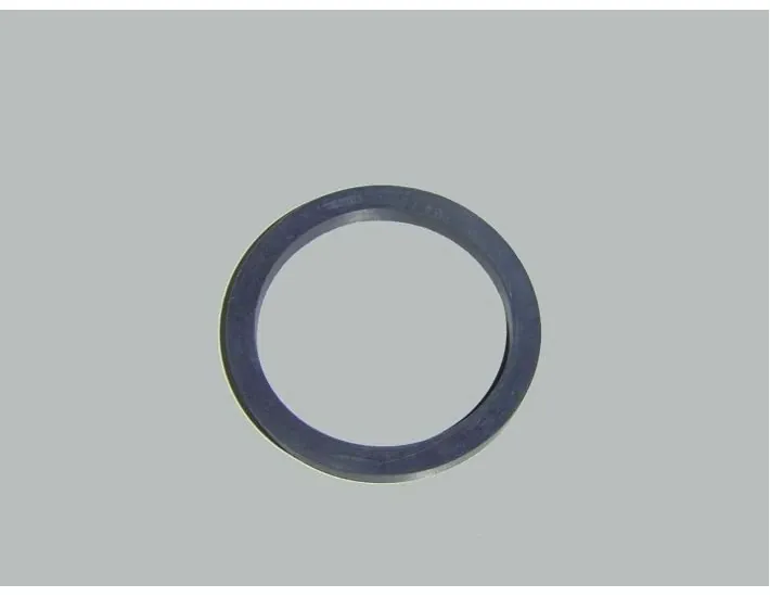 AstralPool Columbia Pomp O-Ring 4405010605