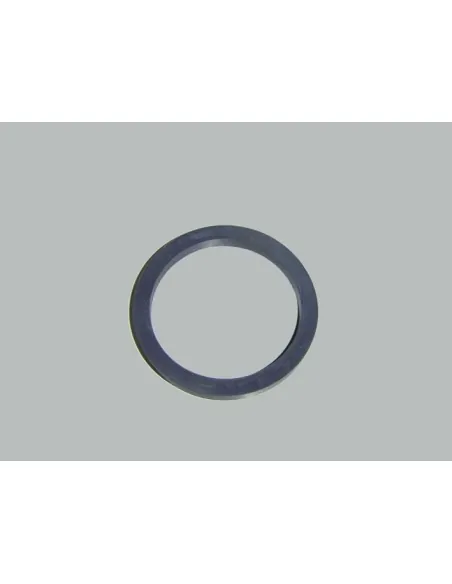 AstralPool Columbia Pomp O-Ring 4405010605