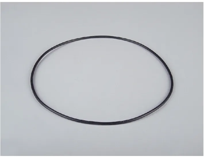 Gasket Body Connections Net'N'Clean D.50...