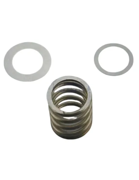 Molla con rondelle 2 1/2'' AstralPool 4404120703