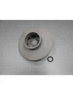 Waaierpomp Alaska Plus 1,5 HP. II 50 HZ AstralPool...