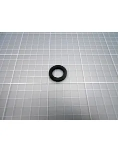 AstralPool Zonnedouche Inlaatafdichting 40664R0002