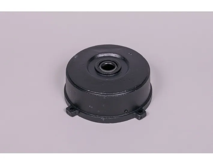 Tampa traseira da bomba T 112 AstralPool Kivu...