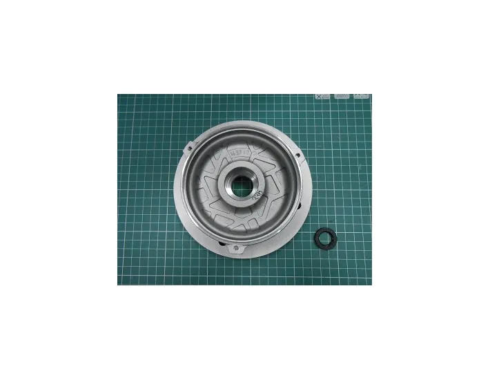 Brida Tapa Motor Bomba AstralPool Columbia...