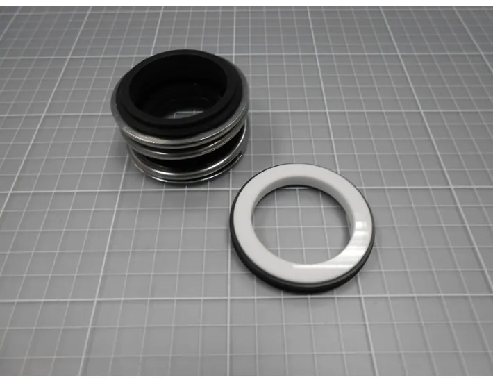 Bomba de vedação mecânica AstralPool Kivu...