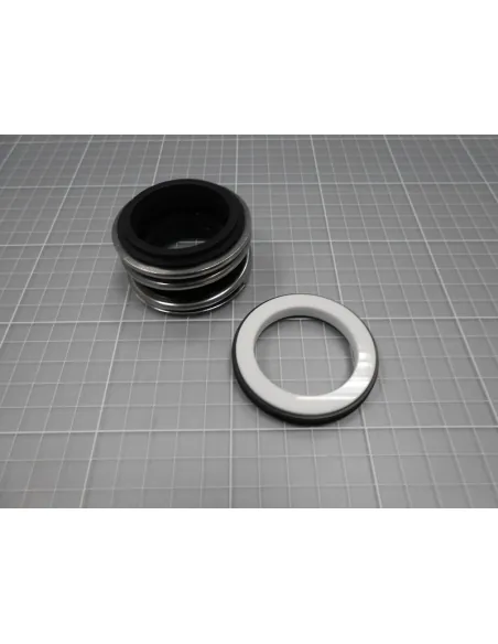 Bomba de vedação mecânica AstralPool Kivu 3-4-5,5 CV 4405010577