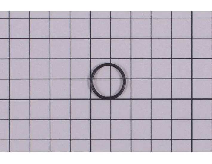 O-Ring Jet Spa 15 x 1,5 020427008