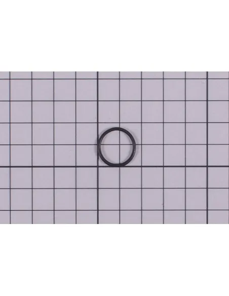 O-Ring Jet Spa 15 x 1,5 020427008