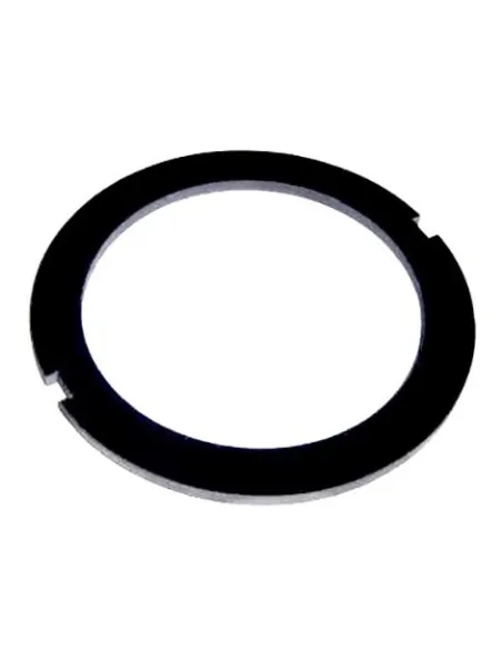 Guarnizione piatta per elettrodi AstralPool Sel 4408060106