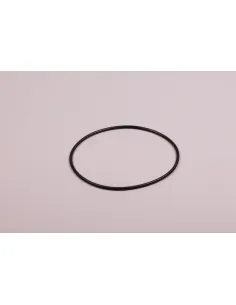 Vesubio Volcano AstralPool Filterdeckel Dichtung 4404260202