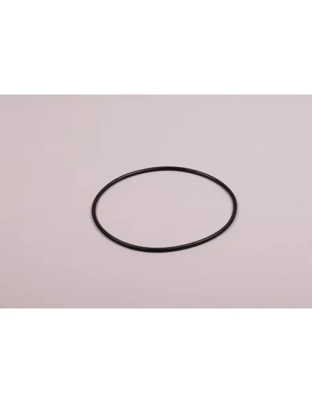 Joint de couvercle de filtre Vesubio Volcano AstralPool 4404260202