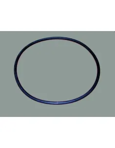 Filter O-Ring D. 350 AstralPool
