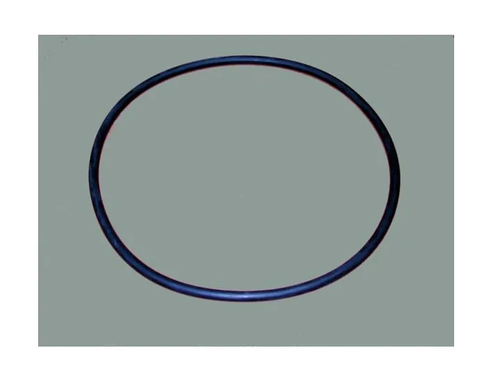 Filter O-ring D. 350 AstralPool