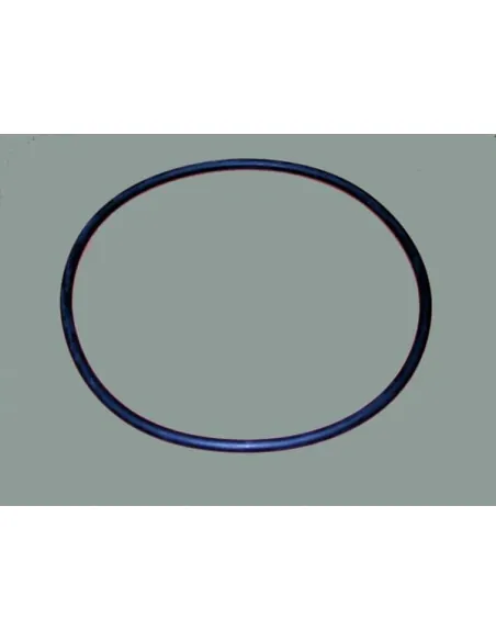 Filter O-ring D. 350 AstralPool