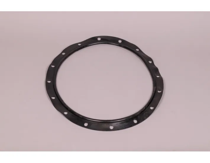 AstralPool Filterdeckel O-Ring 4404160101