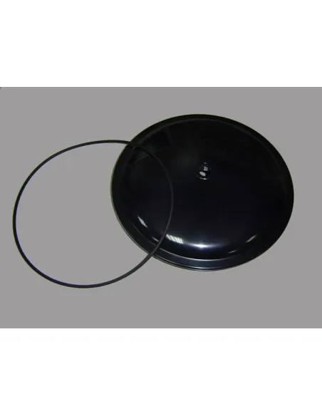 Tampa e junta do filtro AstralPool Ice 4404160847