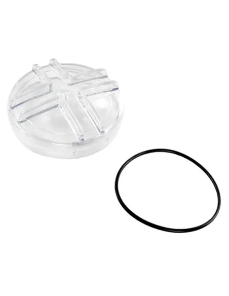 AstralPool 4405010401 Sena Pump Prefilter Seal