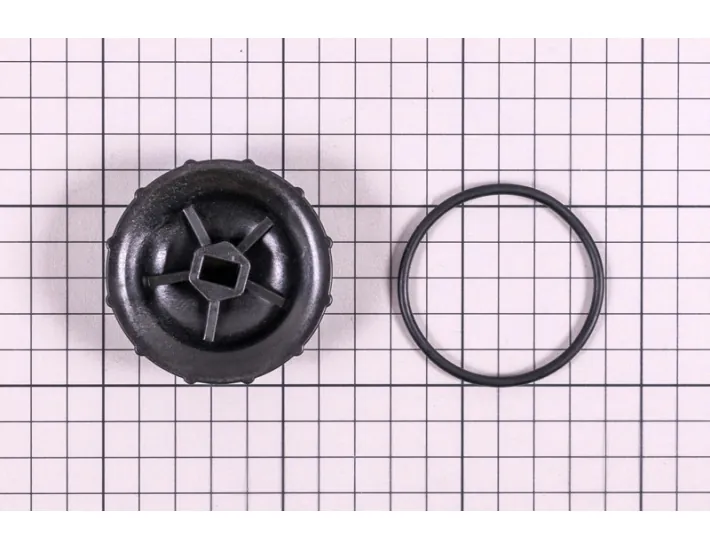 Plug with gasket for Blue Connect