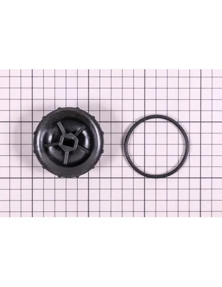 Plug with gasket for Blue Connect