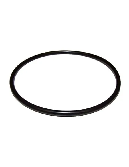 ESPA Niper Nox 25 Pomp Voorfilter Afdichting 0080000162