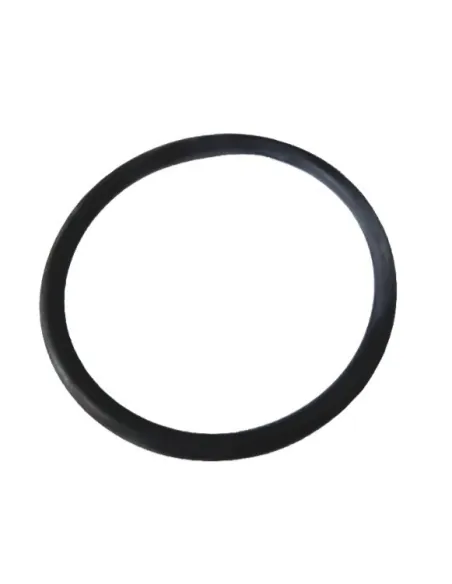 Junta Tòrica Impulsió Bomba ESPA Niper Nox 25 0000000306