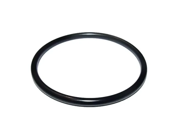 O-Ring de ligação da bomba ESPA 0000000350