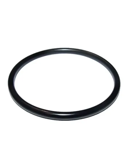 O-Ring de ligação da bomba ESPA 0000000350