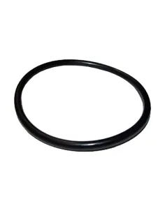 ESPA Pump Connection O-Ring 0000000399