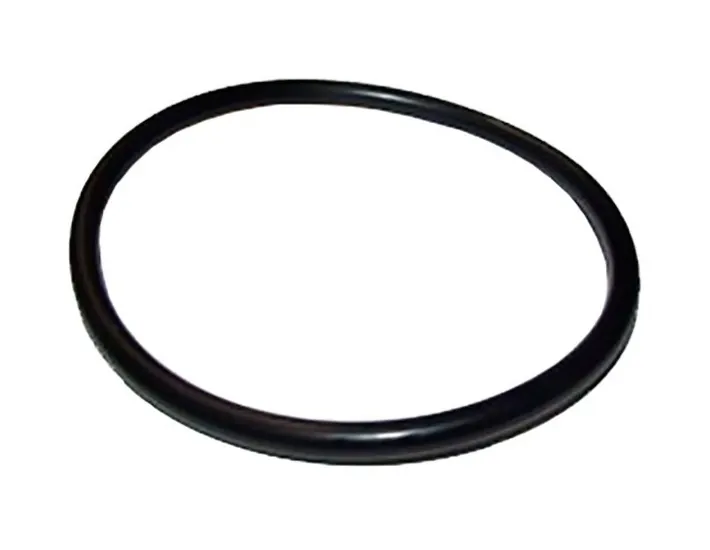 O-Ring de ligação da bomba ESPA 0000000399