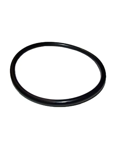 O-Ring de ligação da bomba ESPA 0000000399