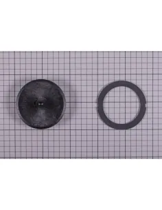 AstralPool Sel grote glazen stop en elektrode pakking... 2