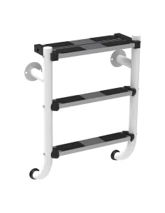 Plascoat AstralPool split ladder