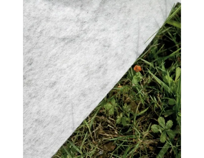 Piscina de Composite Gre Avantgarde Circular