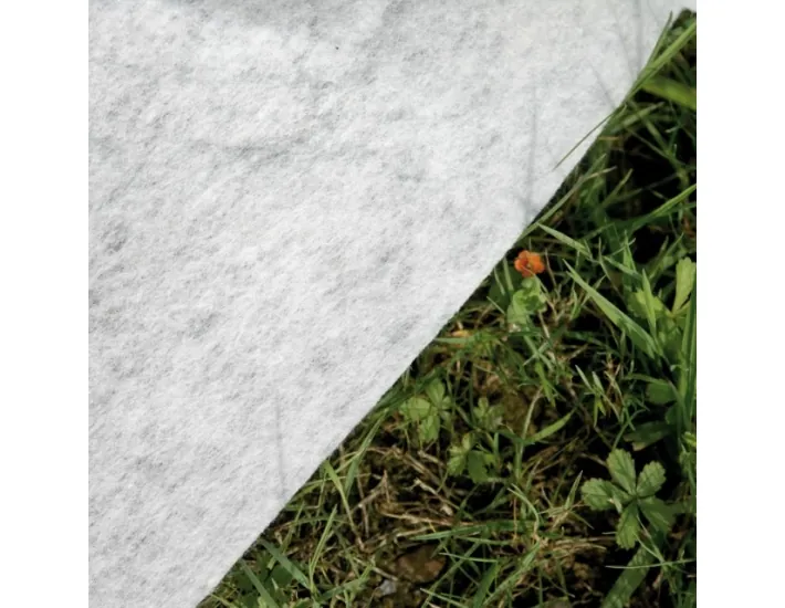 Piscina interrata Gre Madagascar Ovale